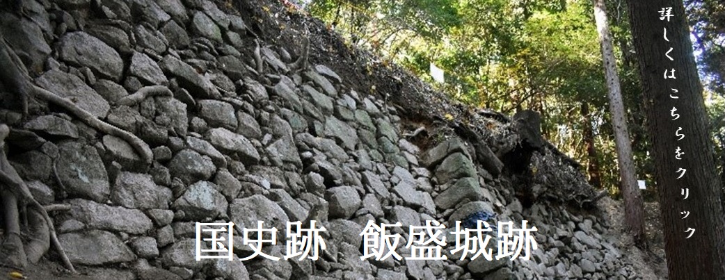 トップページ：飯盛城跡国史跡指定