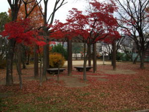 泉公園の画像2