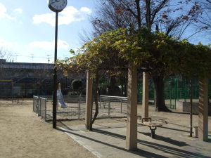 赤井公園の画像4