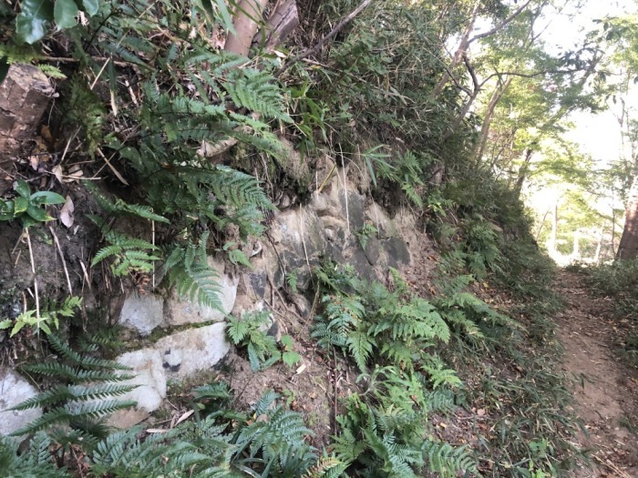 飯盛山山頂到達