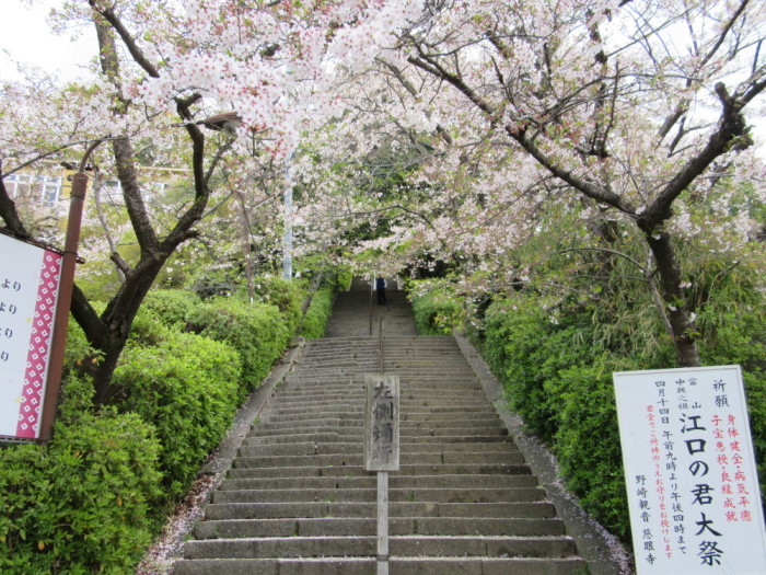 ポイント紹介1：野崎観音の画像2