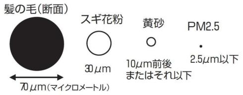 PM2.5(微小粒子状物質)の画像