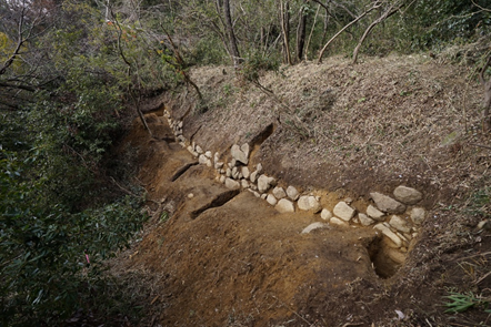 発掘調査で発見された飯盛城最大の石垣の画像