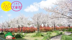 南郷公園の桜(ダイトン入り)