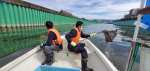 清掃の様子