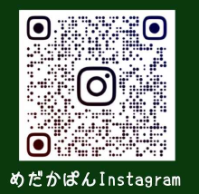 インスタグラムはコチラ