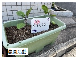 農園活動　写真