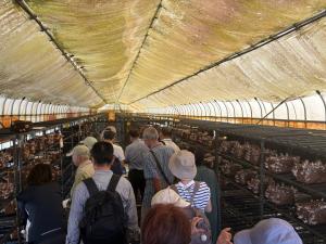 大阪アグリバイオ株式会社