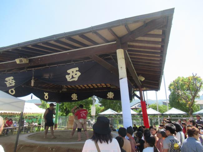 大東市わんぱく相撲