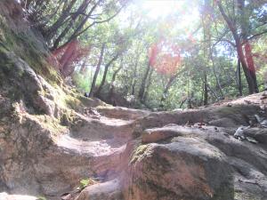 飯盛山