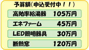 チラシ1