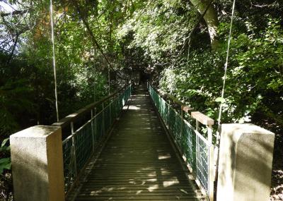 飯盛山 吊り橋